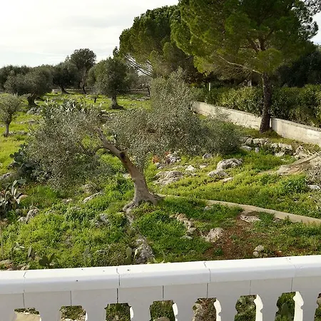فيلة Panoramica أوستوني